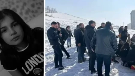 İçişleri Bakanı Ali Yerlikaya, Hakkari Yüksekova’daki sahipsiz köpek saldırısına ilişkin açıklamalarda bulundu: ‘Soruşturma başlatıldı’