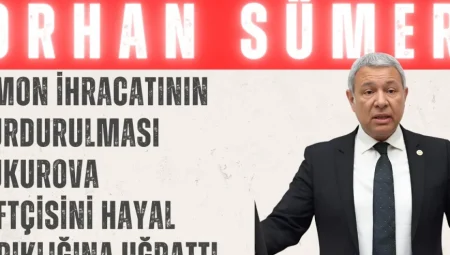 CHP’li Sümer: ‘Limon ihracatının durdurulması Çukurova çiftçisini hayal kırıklığına uğrattı’