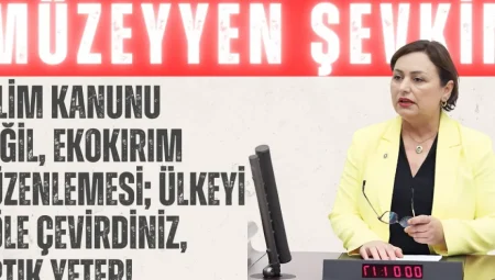 CHP’li Şevkin: “İklim Kanunu değil, ekokırım düzenlemesi; ülkeyi çöle çevirdiniz, artık yeter!”