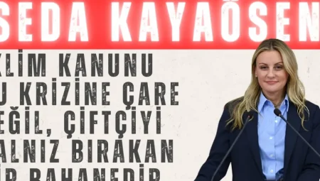 DEVA Partili Seda Kaya Ösen: “İklim Kanunu su krizine çare değil, çiftçiyi yalnız bırakan bir bahanedir”
