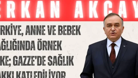 MHP’li Akçay: ‘Türkiye, anne ve bebek sağlığında örnek ülke; Gazze’de sağlık hakkı katlediliyor’