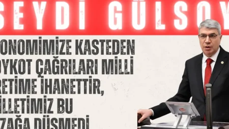 AK Parti’li Gülsoy: ‘Ekonomimize kasteden boykot çağrıları milli üretime ihanettir, milletimiz bu tuzağa düşmedi’