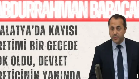 Abdurrahman Babacan: ‘Malatya’da kayısı üretimi bir gecede yok oldu, devlet üreticinin yanında’