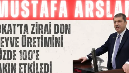 Mustafa Arslan: ‘Tokat’ta zirai don meyve üretimini yüzde 100’e yakın etkiledi’