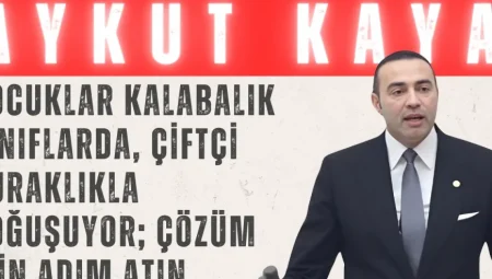 Aykut Kaya: ‘Çocuklar kalabalık sınıflarda, çiftçi kuraklıkla boğuşuyor; çözüm için adım atın’