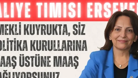 Aliye Timisi Ersever: ‘Emekli kuyrukta, siz Politika Kurullarına maaş üstüne maaş bağlıyorsunuz’