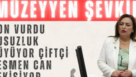 Müzeyyen Şevkin: ‘Don vurdu, susuzluk büyüyor, çiftçi resmen can çekişiyor’