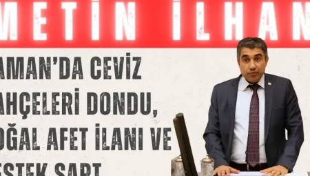 Metin İlhan: ‘Kaman’da ceviz bahçeleri dondu, doğal afet ilanı ve destek şart’
