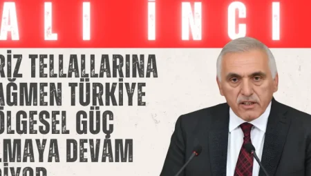 Ali İnci: ‘Kriz tellallarına rağmen Türkiye bölgesel güç olmaya devam ediyor’
