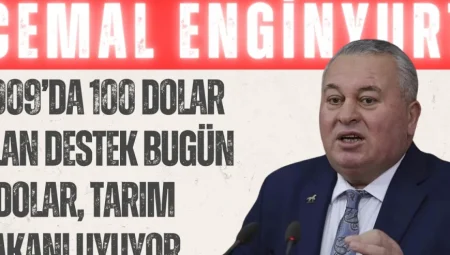 Cemal Enginyurt: ‘2009’da 100 dolar olan destek bugün 4 dolar, Tarım Bakanı uyuyor’