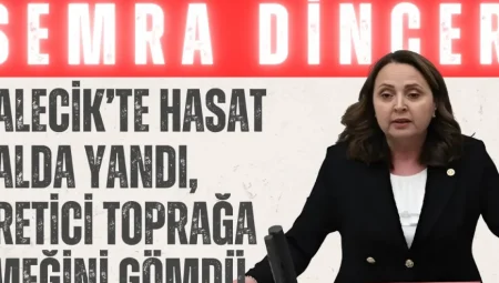 Semra Dinçer: ‘Kalecik’te hasat dalda yandı, üretici toprağa emeğini gömdü’