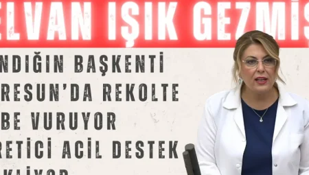 Elvan Işık Gezmiş: ‘Fındığın başkenti Giresun’da rekolte dibe vuruyor, üretici acil destek bekliyor’