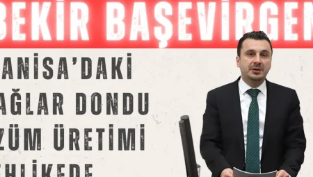 Bekir Başevirgen: ‘Manisa’daki bağlar dondu, üzüm üretimi tehlikede’
