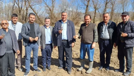 CHP’li Ömer Fethi Gürer: ‘Lahana da üretici de dondu, çiftçi desteğe muhtaç’