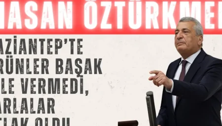 Hasan Öztürkmen’den Kuraklık Uyarısı: ‘Gaziantep’te Ürünler Başak Bile Vermedi, Tarlalar Otlak Oldu’