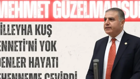 Mehmet Güzelmansur: ‘Milleyha Kuş Cenneti’ni Yok Edenler Hayatı Cehenneme Çevirdi’
