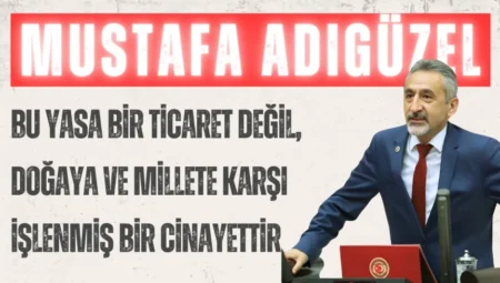 CHP’li Mustafa Adıgüzel: “Bu yasa bir ticaret değil, doğaya ve millete karşı işlenmiş bir cinayettir”